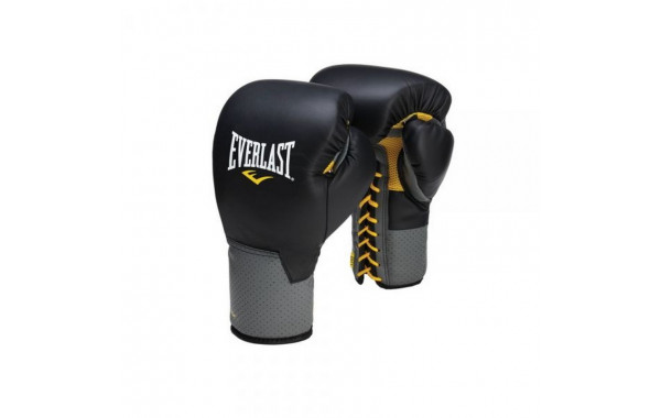 Перчатки тренировочные Everlast Pro Leather Laced 10 oz 591001 600_380