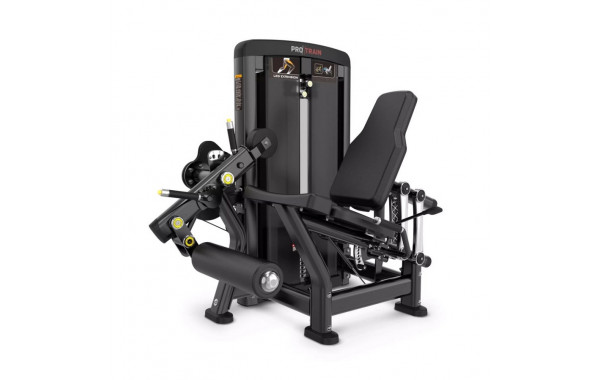 Разгибание ног Protrain LFS111 600_380