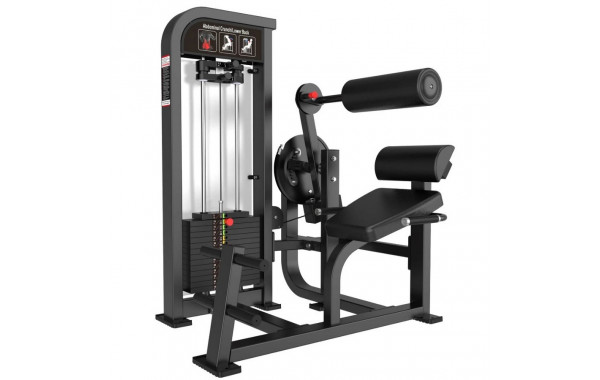 Скручивания\разгибание спины Protrain CP136 600_380