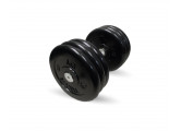 Неразборная гантель c вращающейся ручкой, 21 кг MB Barbell MB-FdbM-B21