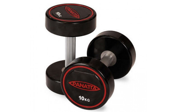 Уретановая гантель 15 кг Panatta 1RD15 600_380