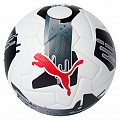 Мяч футбольный Puma Orbita 1 TB FIFA Quality Pro 08432202 р.5 120_120